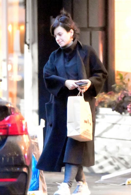 LILY ALLEN Out Shopping in Notting Hill 12/17/2019