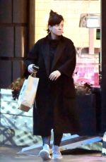 LILY ALLEN Out Shopping in Notting Hill 12/17/2019