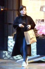 LILY ALLEN Out Shopping in Notting Hill 12/17/2019