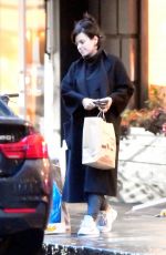 LILY ALLEN Out Shopping in Notting Hill 12/17/2019