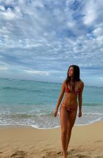 LILY CHEE in Bikini at a Beach - Instagram Photos 12/22/2019