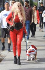 MARCELA IGLESIAS Out with Her Dog in Beverly Hills 12/22/2019