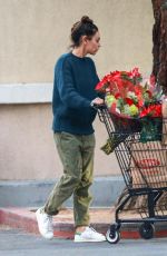 MILA KUNIS Shopping at Ralphs in Los Angeles 12/03/2019