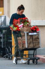 MILA KUNIS Shopping at Ralphs in Los Angeles 12/03/2019