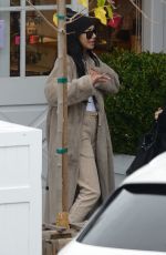 NAYA RIVERA Out and About in Malibu 12/08/2019
