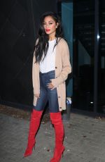 NICOLE SCHERZINGER Arrives at Her Hotel in London 11/30/2019