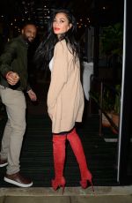 NICOLE SCHERZINGER Arrives at Her Hotel in London 11/30/2019
