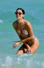 NICOLE WILLIAMS in a Leopard Print Bikini at a Beach in Miami 12/10/2019