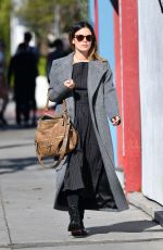 RACHEL BILSON Out for Lunch in Beverly Hills 12/30/2019