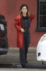 RACHEL BILSON Out Shopping in Los Feliz ca 12/07/2019