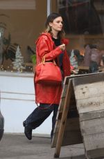 RACHEL BILSON Out Shopping in Los Feliz ca 12/07/2019