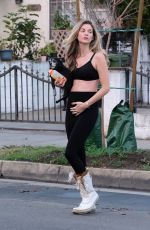 RACHEL MCCORD Out with Her Dogs in Los Angeles 12/04/2019
