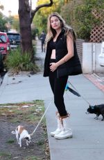 RACHEL MCCORD Out with Her Dogs in Los Angeles 12/04/2019