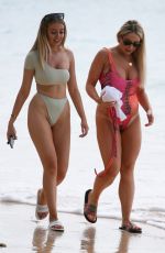 SAFFRON BAKER in Swimsuit at a Beach in Barbados 12/28/2019