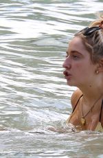 SAFFRON BARKER in Bikini at a Beach in Barbados 12/28/2019