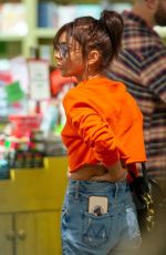 SARAH HYLAND Out Christmas Shopping in Studio City 12/22/2019
