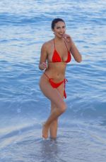 TAO WICKRATH in Bikini at a Beach in Miami 12/06/2019