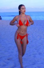 TAO WICKRATH in Bikini at a Beach in Miami 12/06/2019