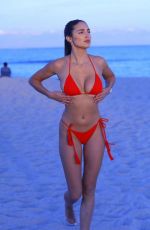TAO WICKRATH in Bikini at a Beach in Miami 12/06/2019