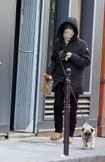 VANESSA PARADIS Out with Her Dog in Paris 12/14/2019
