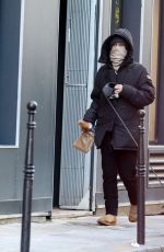 VANESSA PARADIS Out with Her Dog in Paris 12/14/2019