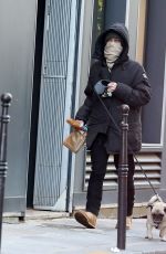 VANESSA PARADIS Out with Her Dog in Paris 12/14/2019