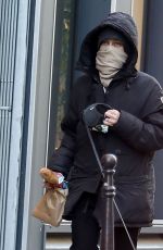 VANESSA PARADIS Out with Her Dog in Paris 12/14/2019