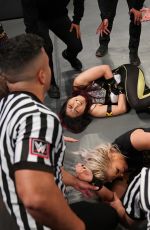 WWE - Survivor Series 2019