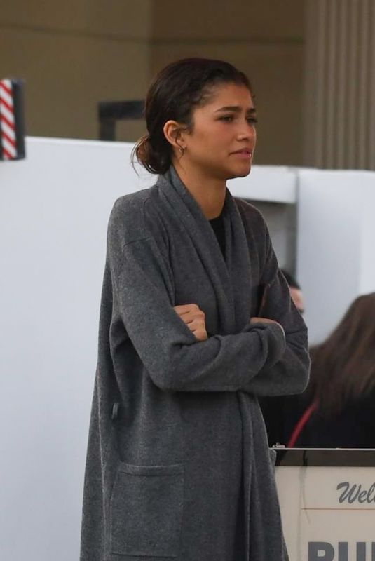 ZENDYA Shopping at Club Monaco in New York 12/22/2019