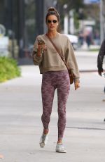 ALESSANDRA AMBROSIO Heading to a Gym in Los Angeles 01/26/2020