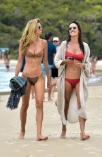 ALESSANDRA AMBROSIO in Bikini on the Beach in Florianopolis 01/18/2020