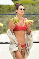 ALESSANDRA AMBROSIO in Bikini on the Beach in Florianopolis 01/18/2020