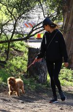 ALESSANDRA AMBROSIO Out Hiking with Her Dog in Pacific Palisades 01/23/2020