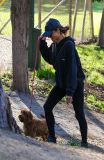 ALESSANDRA AMBROSIO Out Hiking with Her Dog in Pacific Palisades 01/23/2020