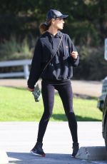 ALESSANDRA AMBROSIO Out Hiking with Her Dog in Pacific Palisades 01/23/2020