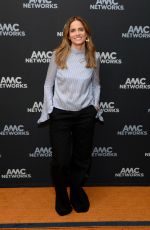 AMANDA PEET at 2020 Winter TCA Tour in Pasadena 01/16/2020