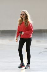 AMANDA SEYFRIED at Fedex in West Hollywood 01/02/2020