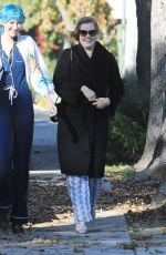 AMY ADAMS Out in Los Angeles 01/01/2020