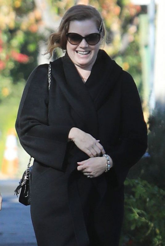 AMY ADAMS Out in Los Angeles 01/01/2020