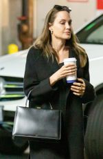 ANGELINA JOLIE Out Shopping in Los Angeles 01/05/2020