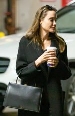 ANGELINA JOLIE Out Shopping in Los Angeles 01/05/2020
