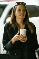 ANGELINA JOLIE Out Shopping in Los Angeles 01/05/2020