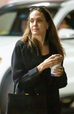 ANGELINA JOLIE Out Shopping in Los Angeles 01/05/2020