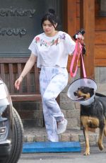 ARIEL WINTER Leaves a Vet Office with Her Dog in Studio City 01/31/2020