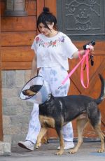 ARIEL WINTER Leaves a Vet Office with Her Dog in Studio City 01/31/2020