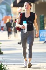 ASHLEY GREENE Out in Sherman Oaks 01/11/2020