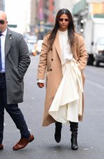 CAMILA ALVES Out and About in New Jersey 01/11/2020