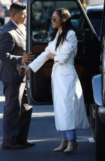  CARA SANTANA at San Vicente Bungalows in Los Angeles 01/23/2020