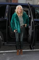 CHRISTIE BRINKLEY Out and About in Los Angeles 01/22/2020