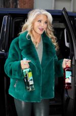 CHRISTIE BRINKLEY Out and About in Los Angeles 01/22/2020